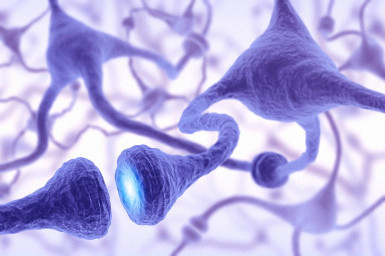 Santé du cerveau et du système nerveux Santé du cerveau et du système nerveux